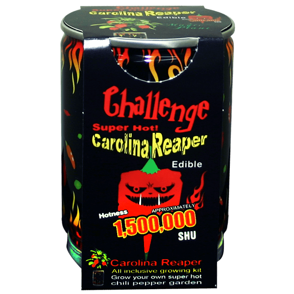 Carolina Reaper Chili Pepper Plant Can